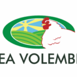 SCEA VOLEMBERT